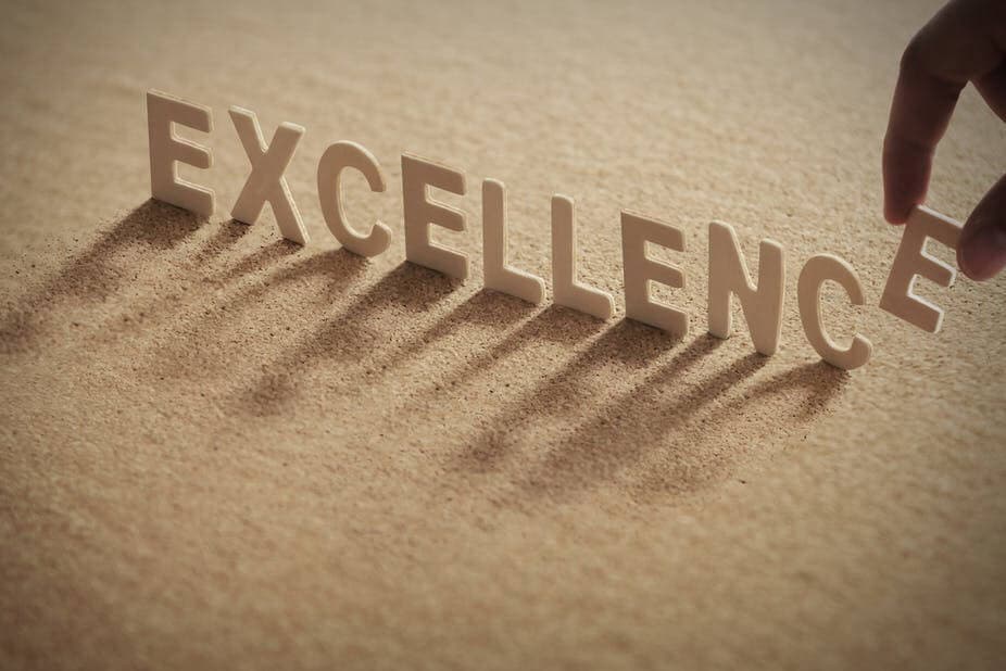 Business Excellence: A Set of Principles and Guidelines