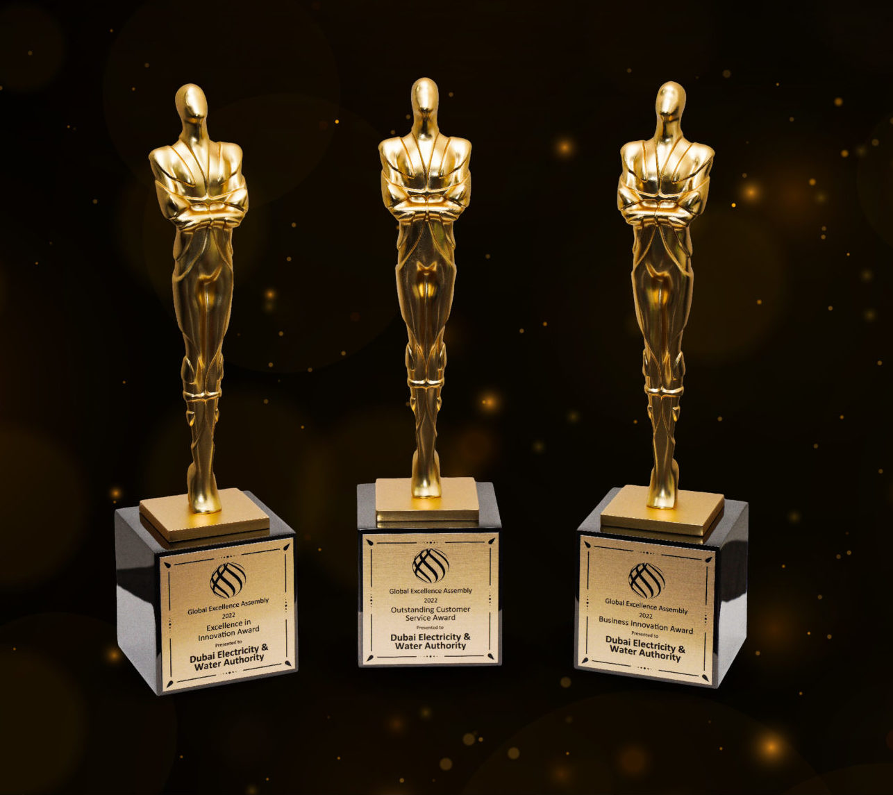 Dubai Electricity & Water Authority: Institutionalizing the Culture of Excellence